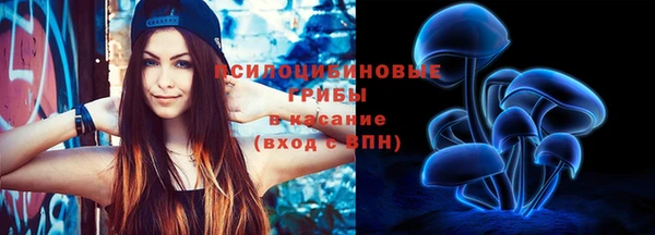 шишки Алексеевка