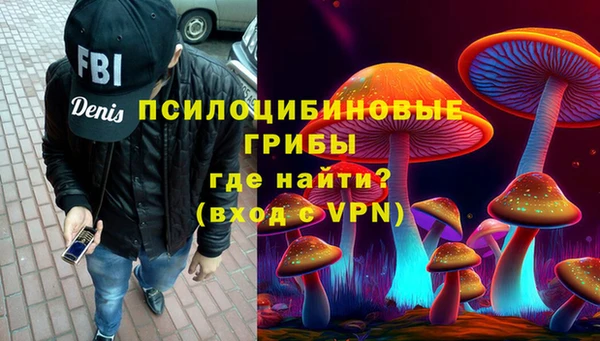 тгк Абаза