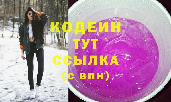 тгк Абаза
