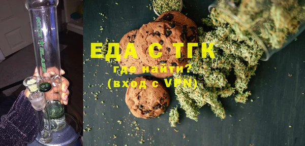 тгк Абаза