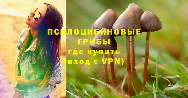 трава Алзамай