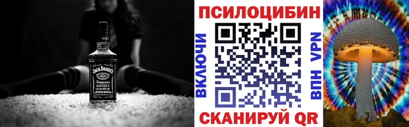наркошоп  Урус-Мартан  Псилоцибиновые грибы Psilocybe 